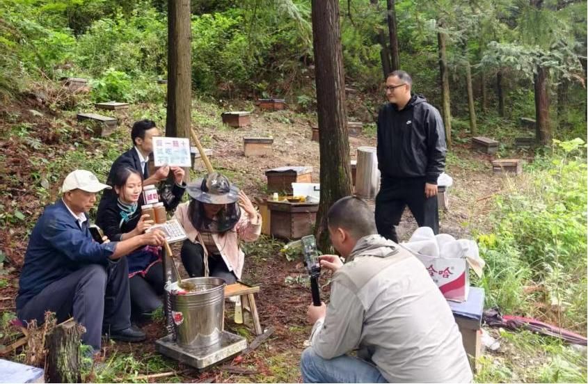尊龙凯时人生就是博集团乡村振兴工作获贵州省表彰3